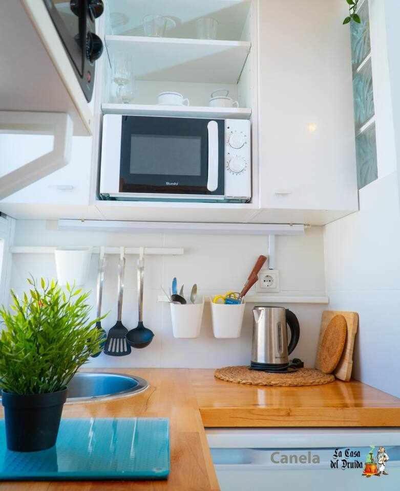 말라가 La Casa Del Druida 아파트 외부 사진